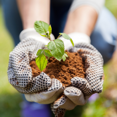 How to Take Care of Gardening Hands