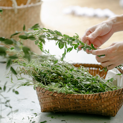 Natural Herbs for Wellbeing