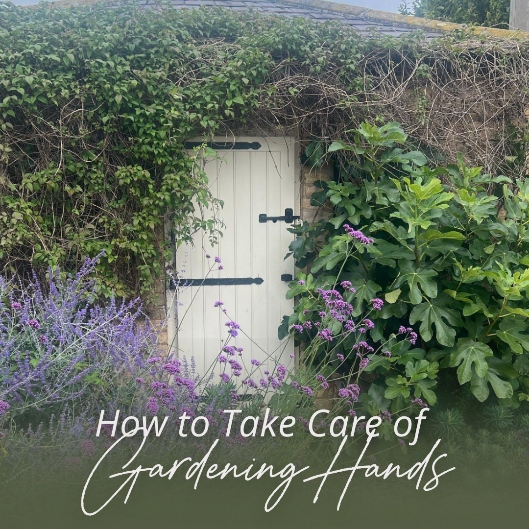 How to Take Care of Gardening Hands