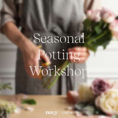 Seasonal Potting  Workshop