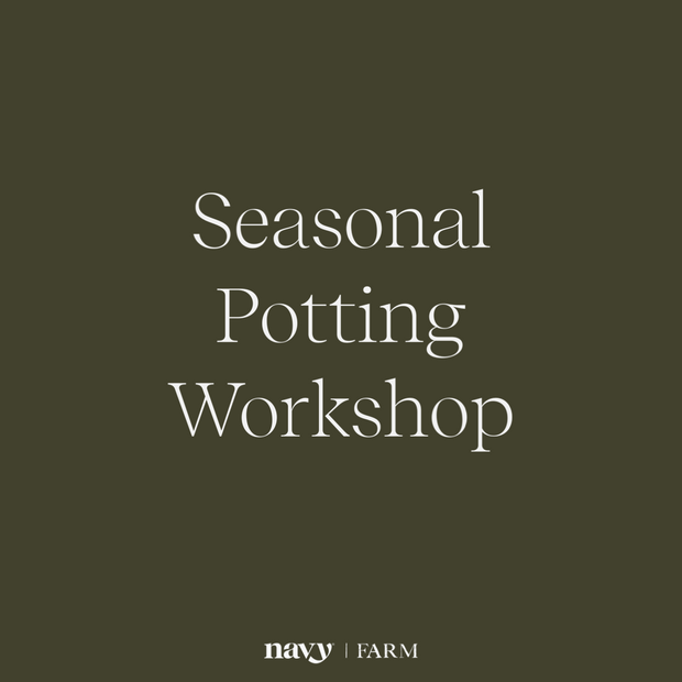 Seasonal Potting  Workshop
